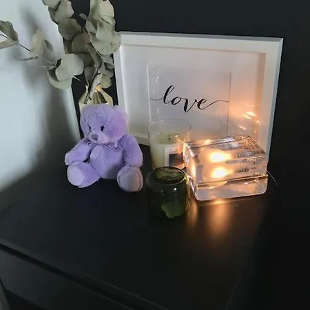 Apartment Brand New And Cozy Modern Studio! Withaircondition Turku